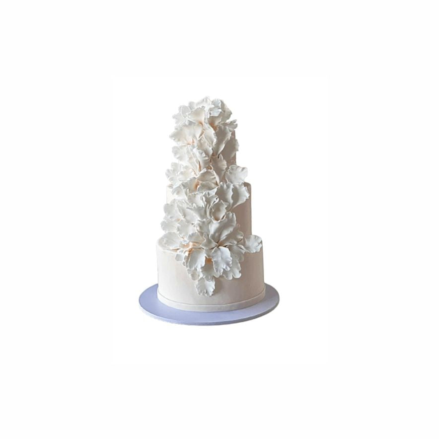 Wedding / Engagement Cake – Elegant Cake Abu Dhabi