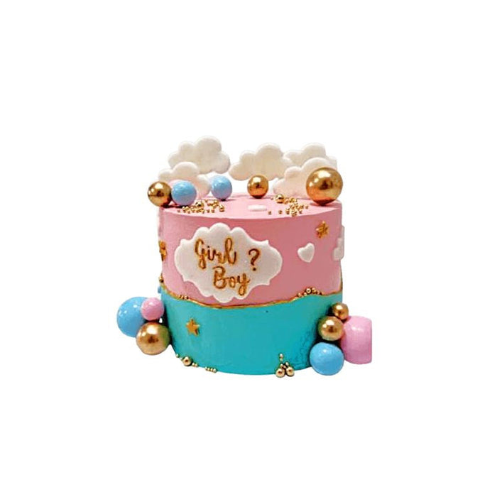The Anticipation Gender Reveal Cake – Abu Dhabi in Abu Dhabi | Gender Reveal Cakes/ Baby Shower Cakes Delivery UAE – Legrandeuae