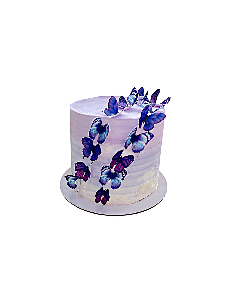 كعكة الفراشة الخاصة