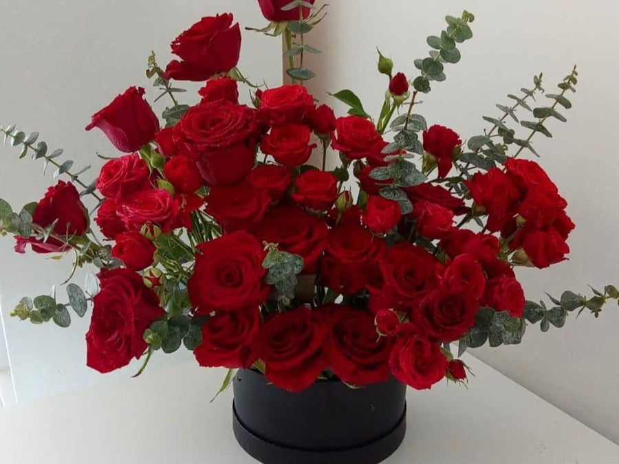 صندوق الفرح