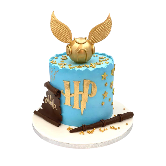 Harry Potter Cake