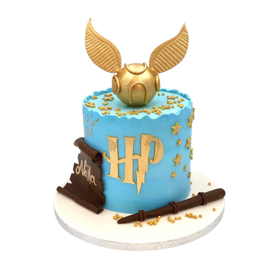 Harry Potter Cake