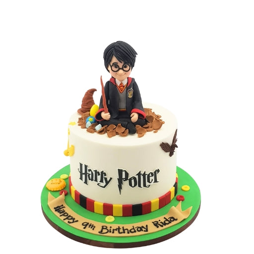 Harry Potter Cake in Abu Dhabi | Harry Potter cakes Delivery UAE – Legrandeuae
