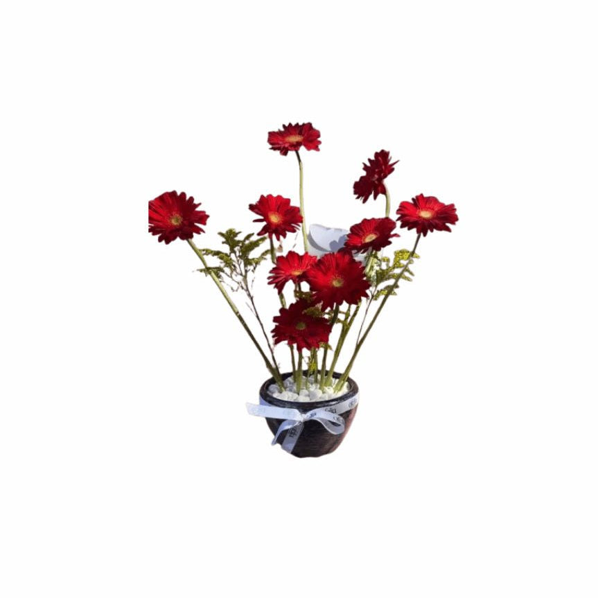 Radiant Red Gerberas Pot – Mother’s Day Flowers Abu Dhabi in Abu Dhabi | mothers day cakes Delivery UAE – Legrandeuae