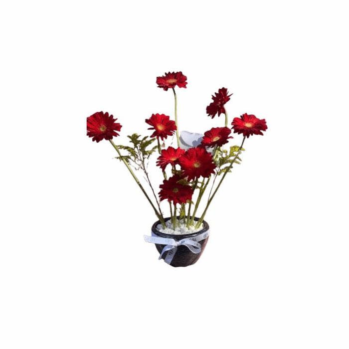 Mothers day Flowers MDF3