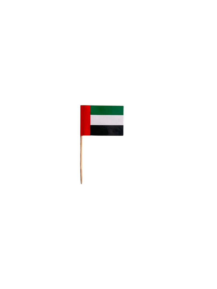 National Day Mini Flag in Abu Dhabi | Flags Delivery UAE – Legrandeuae