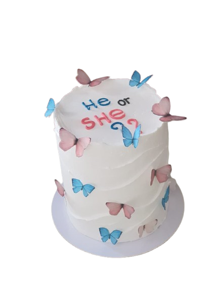 The Butterfly Ballot Gender Reveal Cake