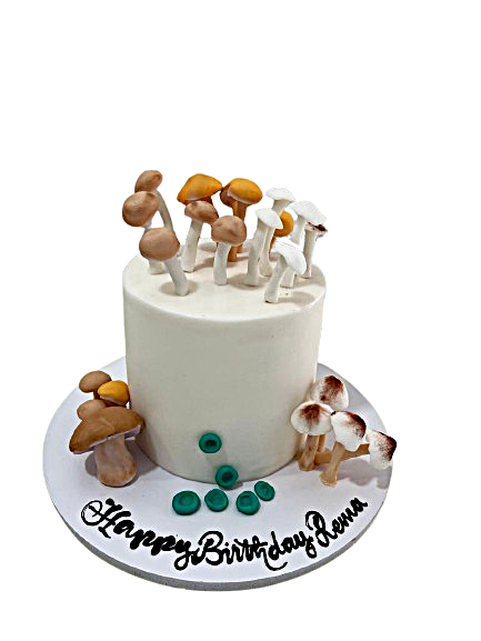 Birthday Cakes – Adults