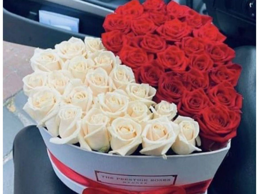 النصف الآخر